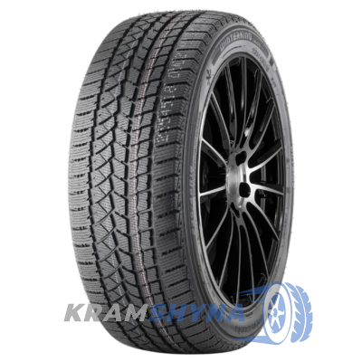 Doublestar WINTERKING DW02 215/70 R16 100T