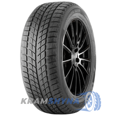 Doublestar WINTERKING DW09 215/55 R18 95H