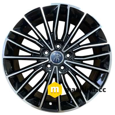ZF FBX173 8x19 5x120 ET50 DIA64.1 BMF