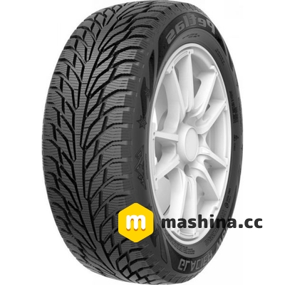 Petlas Glacier W661 225/50 R17 98T XL