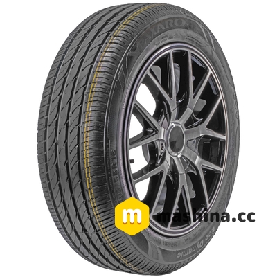 Paxaro Eco Dynamic 205/55 R16 94W XL
