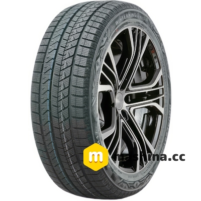 Doublestar WINTERKING DW16 225/45 R19 96T XL