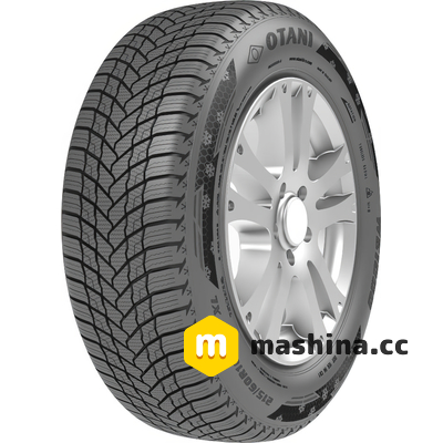 Otani WE1000 195/65 R15 91H